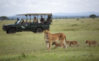 Park Reserves Tanzania [320x200]